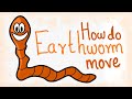 Movement of earthworm in English | Earthworm | Learn to Remember