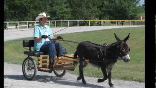 preview picture of video 'Bedford County Fair 2010'