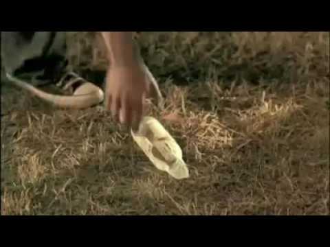 Mude o mundo; mudando primeiro você...