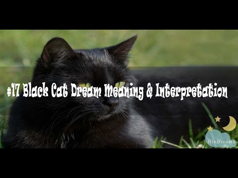 #53 Black Cat Dream Meaning and  Interpretation