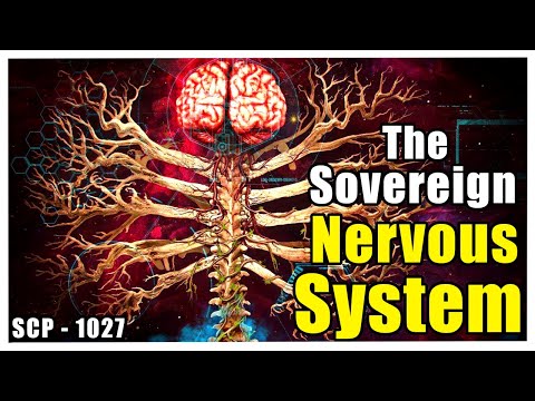 The Autonomous Nervous System Freed of its Meat Suit Explored | SCP 1027 Biology Explained