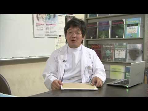 医学部 田村了以 教授 (統合神経科学 (神経生理学))【Tom's TV 2012】