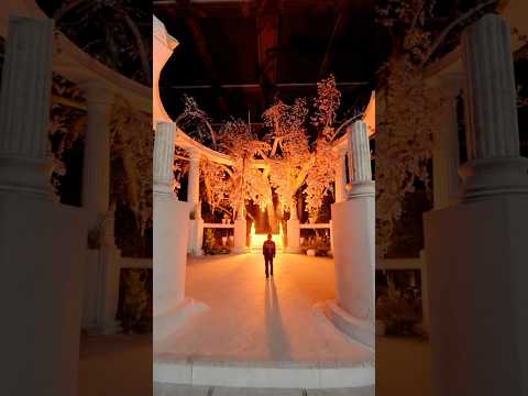 DANU - ОБОЖАЮ сегодня в 00:00 везде❤️‍🔥 #shortvideo#shorts#reels#trending#viralvideo #viralshorts