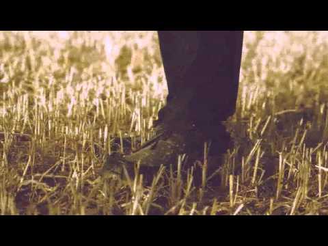 Displaced Paranormals - WALKINGDEAD#2