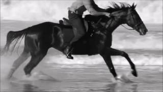 Download lagu Horse by Chanel (Perfume Commercial Parody 2016) mp3 Download lagu Horse by Chanel (Perfume Commercial Parody 2016) mp3