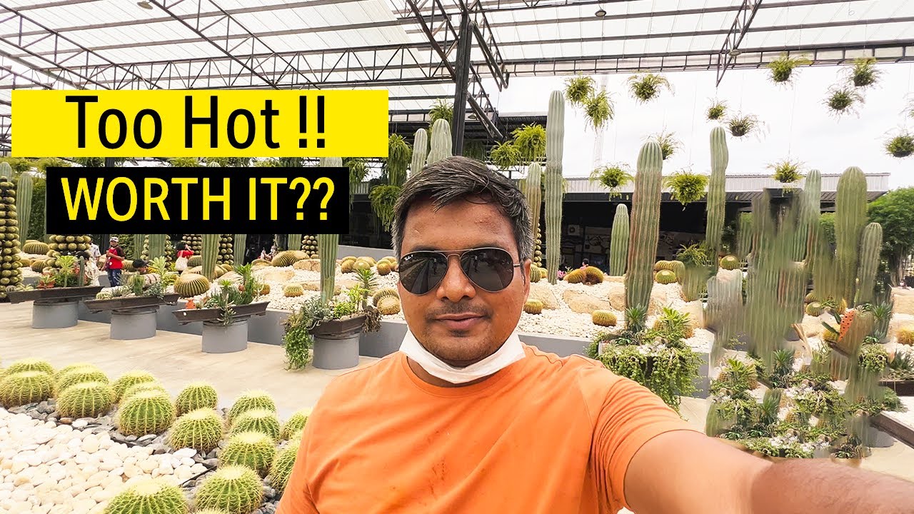 Uncover the marvels of Pattaya, Thailand's stunning Nong Nooch Tropical Botanical Garden!