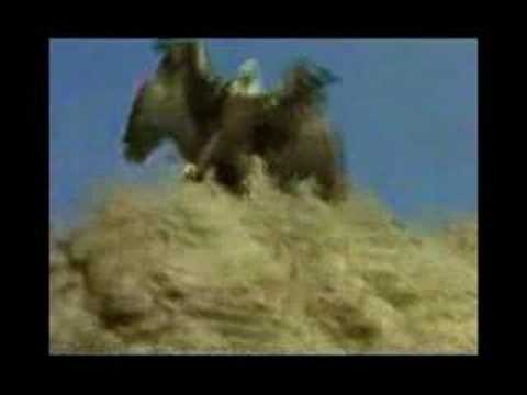 Para onde vão as aves - Sérgio Lopes