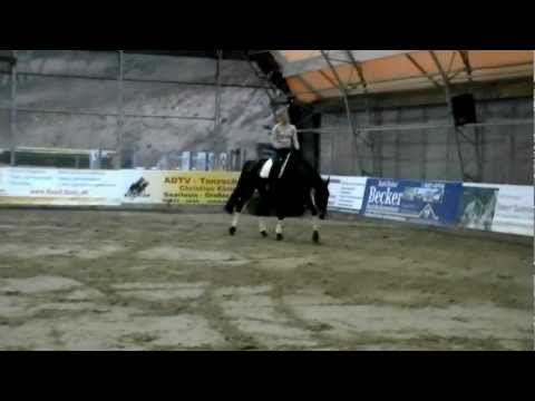 Zamira geb. 2004 Scandic x Ferro