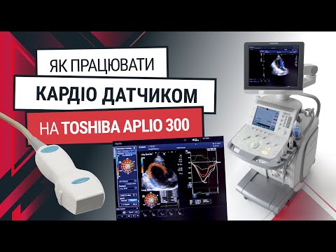 Кардиологический датчик для Toshiba Aplio 300 – обучение и функции - Статьи RH