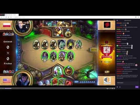 Battle of the best - Gnimsh (Paladin) vs Firebat (Druid) - match 1 - Hearthstone February 2015