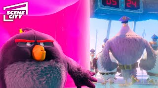 Bomb Distracts The Guards | The Angry Birds Movie 2 (Danny McBride, Bill Hader)