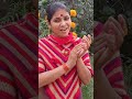 Ji Lenge Sarkar Tere Sarkari Me Singer Priya Mishra