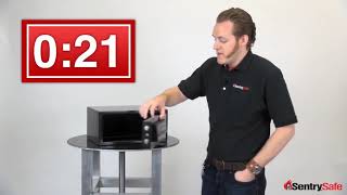 SentrySafe Card Access HL100ES and H060ES Security Safes