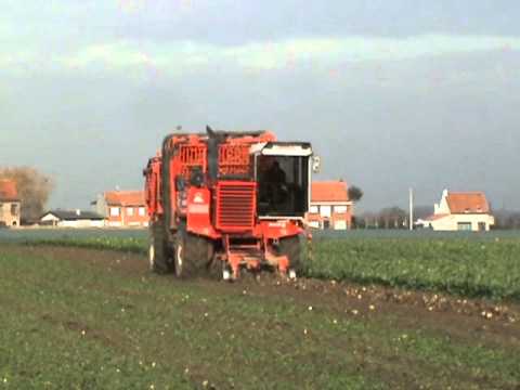 Loonw. Decock - Sint-Eloois-Winkel