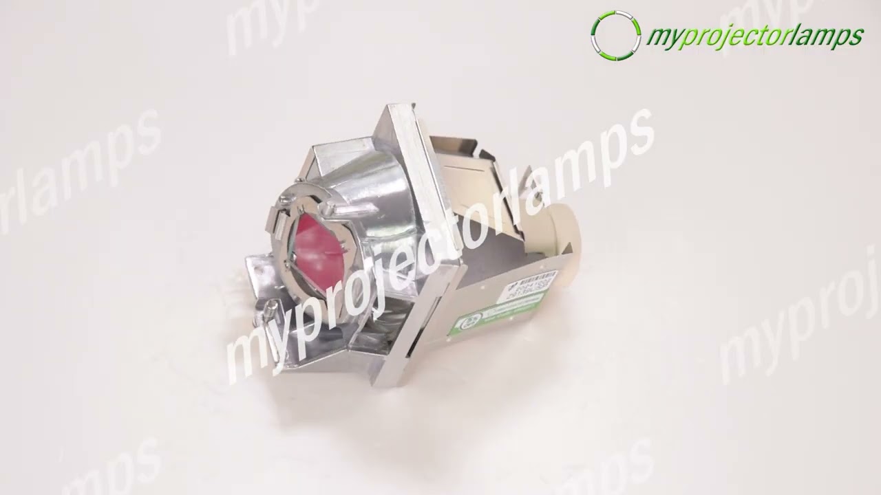 Viewsonic RLC-124 Projector Lamp with Module