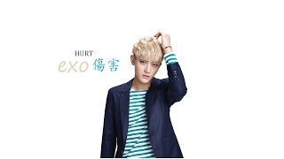 Lyrics EXO-M - HURT (傷害) Pinyin/Chinese/English] COLOR CODED TRANSLATION