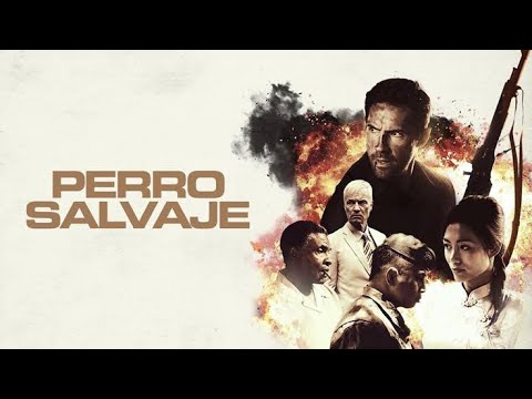 Película Completa "Perro Salvaje" 🗡️🩸
