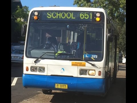 Nice ZF-STA Sydney buses-[Leichhardt]-Scania L113CRB/Ansair "Orana" m/o,1077