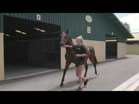 LOT - 28 - CRAIG JUDD