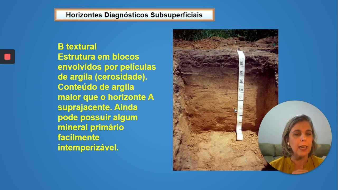 Horizontes diagnósticos subsuperficiais