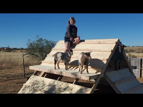 , title : 'How To Build The A Frame Goat Playhouse! Step by Step, DIY -/\-'
