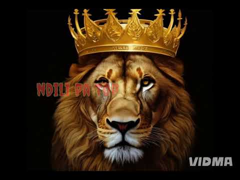 Pemax Viena _ZOCHITA(prod by vett)