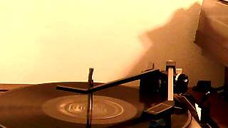 Labrador Retriever by Del Reeves