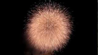 preview picture of video '[HD] Japanese Fireworks in Edogawa City 2012'