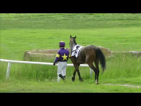 PE, 25. 5. 2019, 4. dostih - Cena podporovaná Destinační společností Východní Čechy