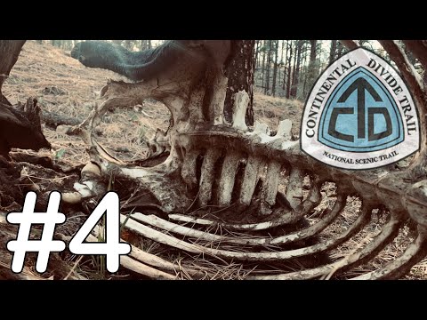 CDT 2021: EPISODE #4 Doc Campbell's to Pie Town