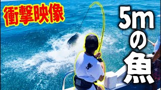 【衝撃映像】初めての釣りで悲劇が...　※閲覧注意です!!!