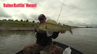 Воблеры salmo - rattlin hornet