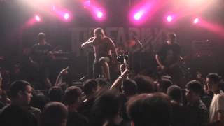 Shredhead - &quot;Knife In A Gun Fight&quot; 8/4/12