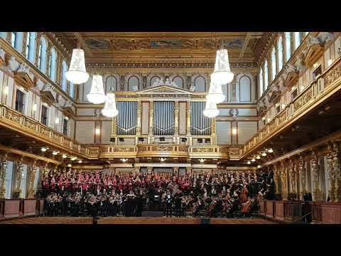 Mezzosoprano Alina Dragnea | Musikverein Vienna | Verdi's Requiem 