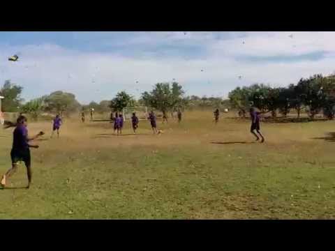 Bayulu School Grasshopper Invasion!