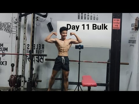 Winter Bulk Day 11 Back and Biceps