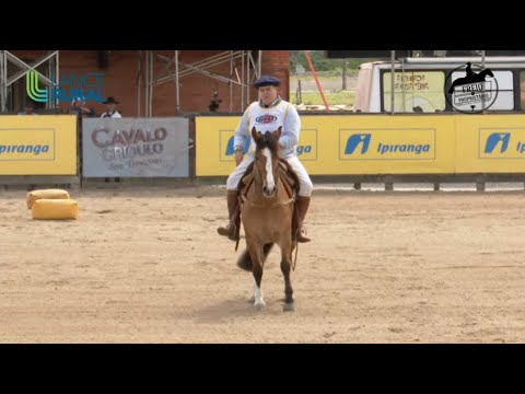 Freio do Proprietário (Master e Feminino B) - Andaduras, Figura, VSP e Esbarradas