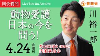 【国会中継】「動物愛護日本の今を問う！」衆議院議員 川裕一郎  国会質疑 令和8年4月24日 参政党