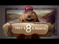 Netflix Beaver 2011 USA