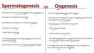 Spermatogenesis vs oogenesis | Differences | Biology lectures @Biology Lectures
