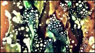 Marissa Nadler - Firecrackers (Official Video)