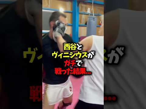 西谷とヴィニシウスがガチで戦った結果… #ブレイキングダウン #rizin #ヴィニシウス