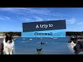 A trip to Cornwall