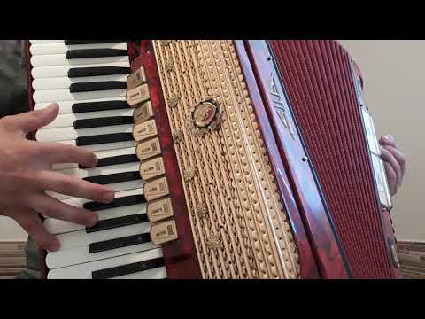 Figueira Amiga - Gildo de Freitas