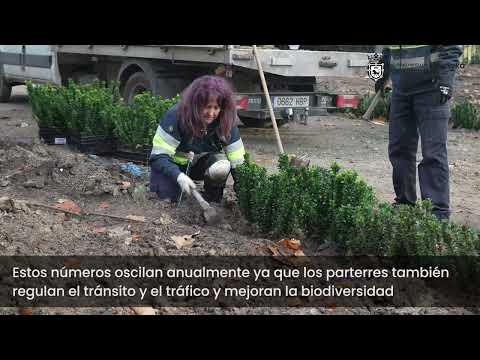 La ciudad llega este otoño-invierno hasta los 3.100 m2 de parterres que acogen 90.000 ejemplares de bulbos y plantas en flor