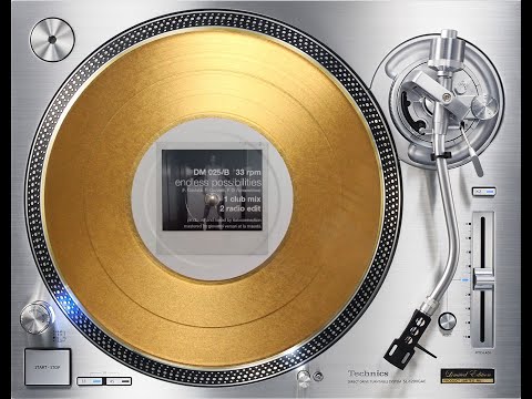 ITALOCONNECTION FEAT. FRANCESCA GASTALDI - ENDLESS POSSIBILITIES (RADIO EDIT) (℗2020 / ©2021)