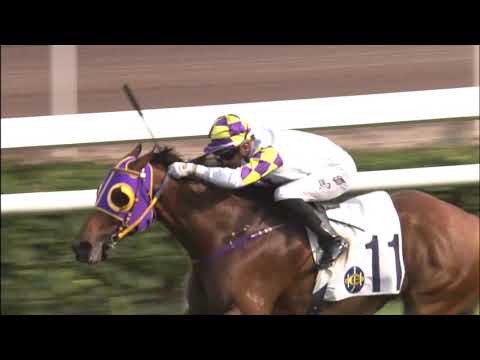 28/3/2021 (542) City Legend - R Maia