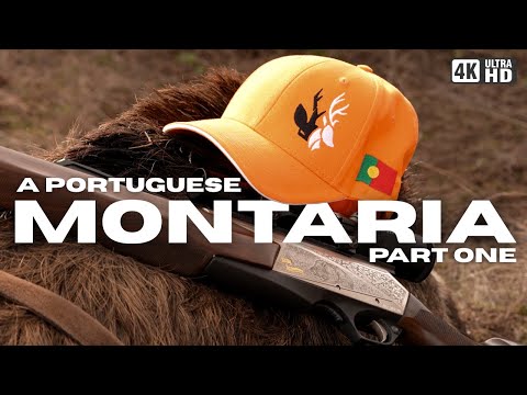 Driven Deer and Wild Boar in Portugal | Montaria Part One