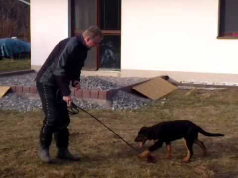 Alliance L´Épice de la Vie - 4 months old