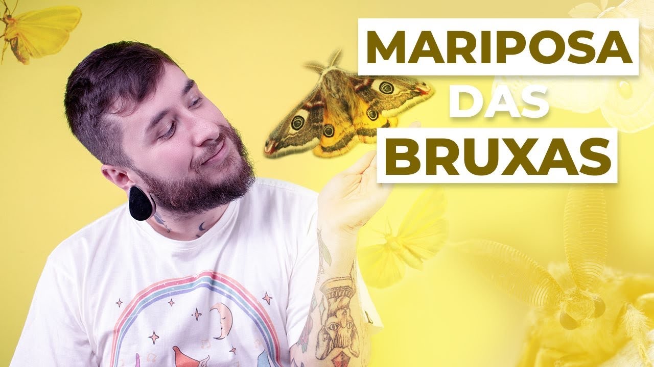 MARIPOSA - A SIMBOLOGIA DA BORBOLETA DA BRUXA